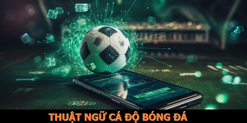 anh dai dien thuat ngu ca do bong da