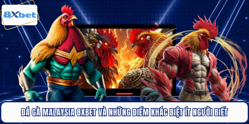 Đá Gà Malaysia 8XBET Và Những Điểm Khác Biệt Ít Người Biết